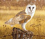 owl by Unknown Artist